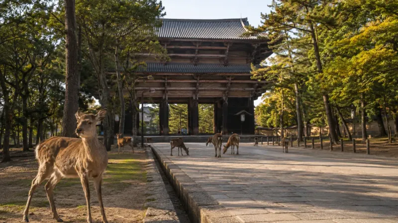Nara