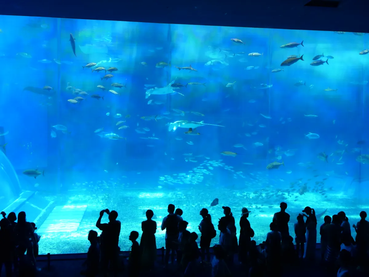 Okinawa Churaumi Aquarium