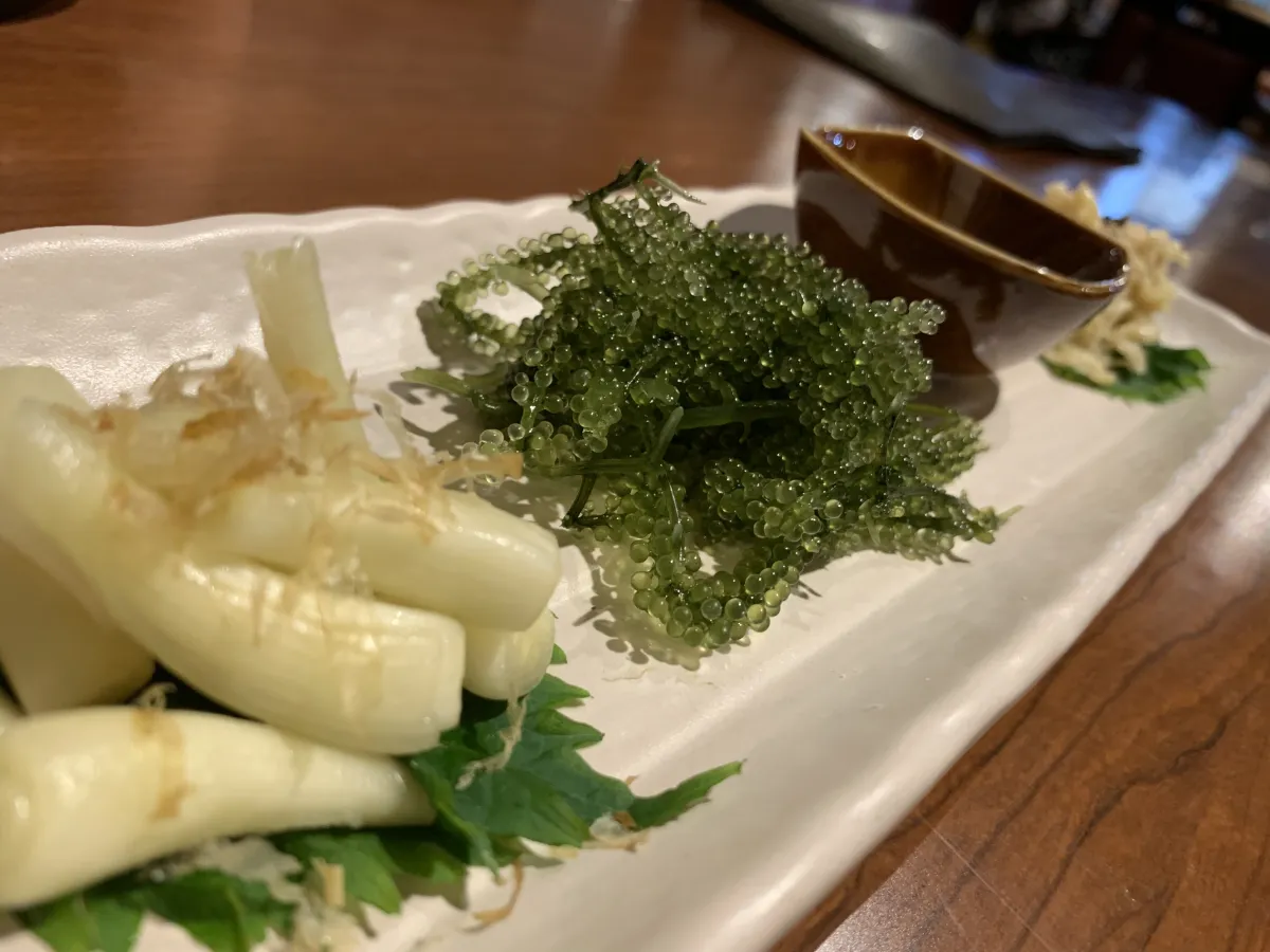 Umi-budo (Sea Grapes)